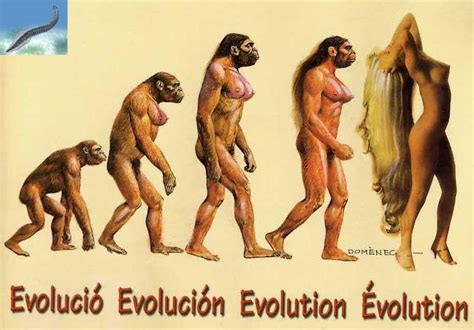 Aleja: la evolucion del hombre