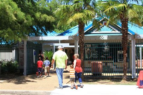 Alexandria Zoological Park  LA : Top Tips Before You Go ...