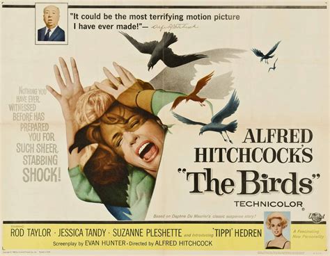 Alfred Hitchcock y la tortuosa historia de  Los pájaros ...