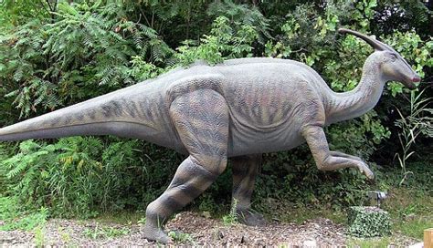 Algunos dinosaurios herbívoros no eran tan vegetarianos ...