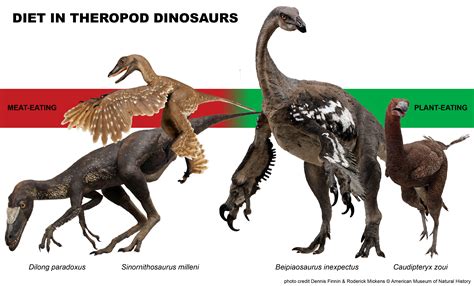 Algunos dinosaurios no eran tan carnívoros como se pensaba / Noticias ...
