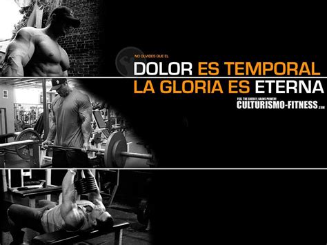 Algunos Wallpapers Motivación Gym | Motivación bodybuilding, Fondos de ...