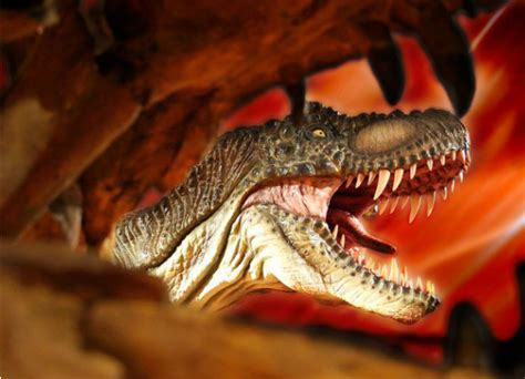 Alicante para niños: Los dinosaurios llegan a Elche!!!