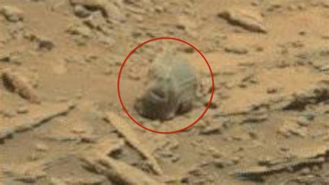 Alien hunter spots skull on Mars in latest discovery   AOL ...