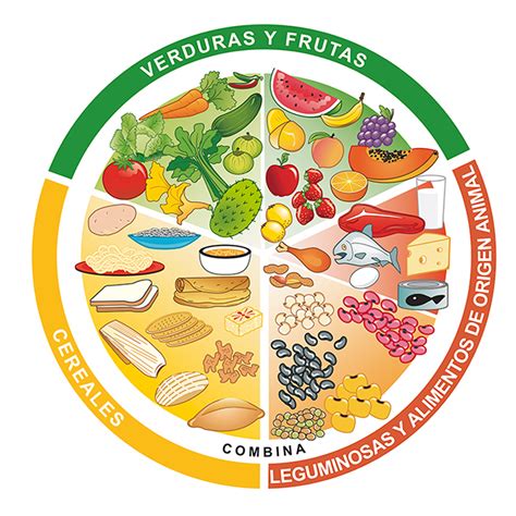 Alimentación equilibrada | Alimenta el futuro