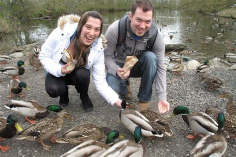 Alimentar o no a los animales en parques públicos   VeoVerde | Nueva Mujer