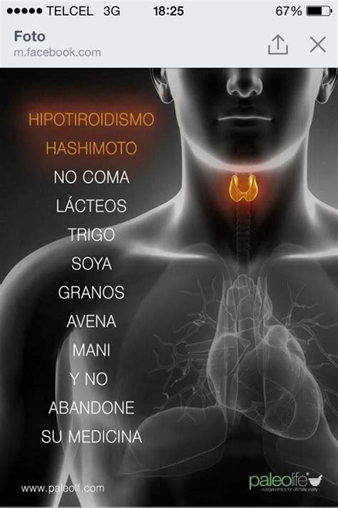 Alimentos a evitar cuando padeces Hipotiroidismo o ...