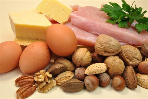Alimentos com mais proteína: veja a lista completa