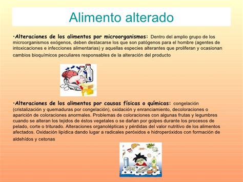 Alimentos Grupo 4 Bromatologia