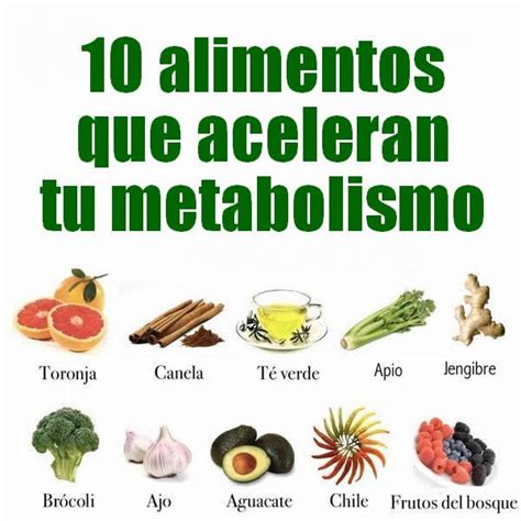 alimentos para acelerar tu metabolismo | Alimentos ...