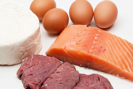 Alimentos Para Ganhar Massa: Proteina Em Alimentos