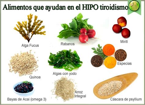 Alimentos que ayudan a controlar el Hipotiroidismo ...