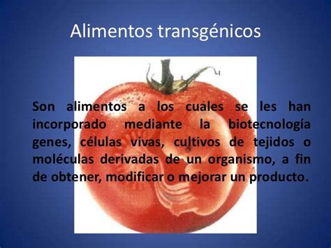 Alimentos transgenicos