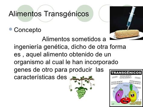 alimentos transgénicos