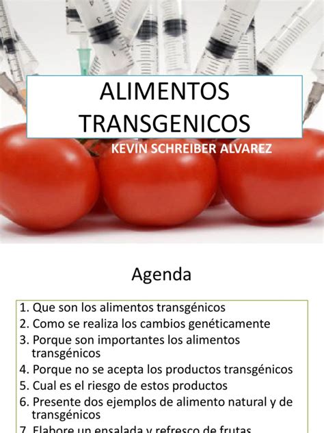 ALIMENTOS TRANSGENICOS | Organismo genéticamente modificado | Comida ...