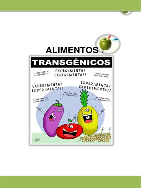 ALIMENTOS TRANSGENICOS.pdf | Transgênese | Genética