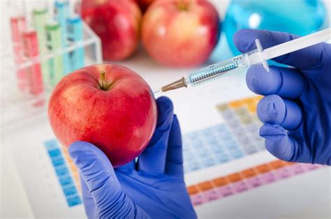 Alimentos transgénicos: ¿Son saludables para nuestros hijos?
