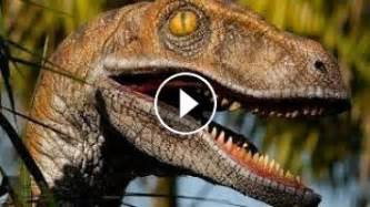 Alive Raptor Film By Women | Real Dinosaur Sighting REAL ...