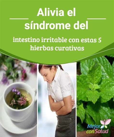 Alivia el #síndrome del intestino irritable con estas 5 hierbas ...