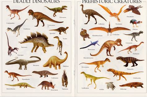 all types of dinosaurs with pictures – Dinosaurs Pictures ...
