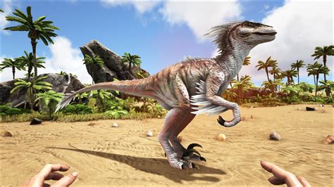 Alpha Raptor   Official ARK: Survival Evolved Wiki