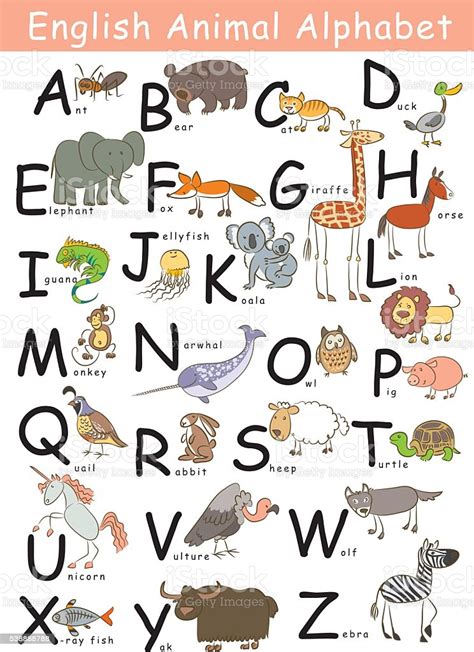 Alphabet Anglais Animal Vecteurs libres de droits et plus ...