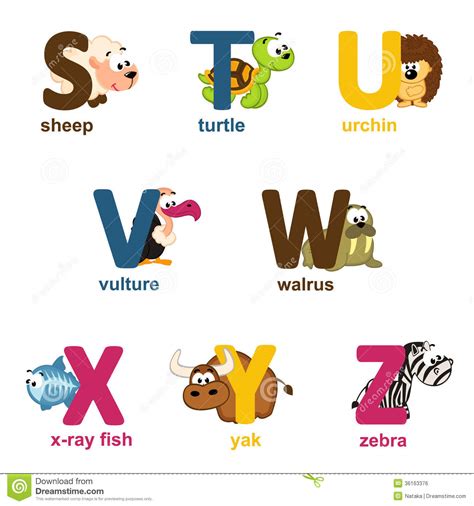 Alphabet Animals From S To Z Royalty Free Stock Image ...