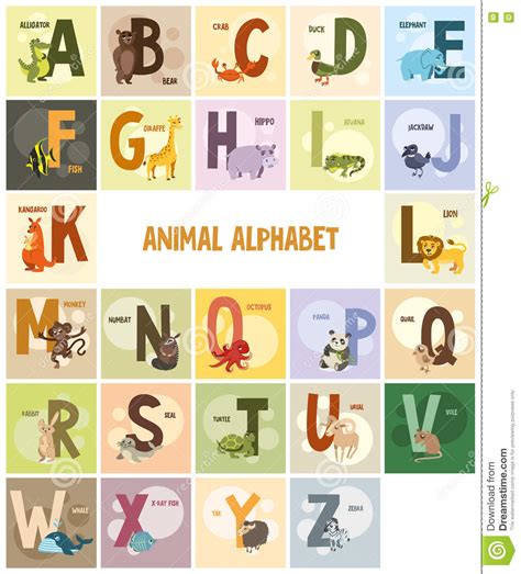 Alphabet, Names And Animals On Colored Backgrounds Stock ...