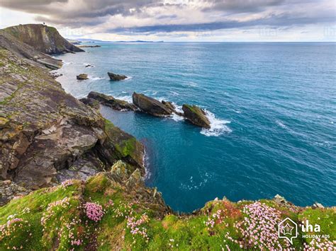Alquiler Islas Shetland para sus vacaciones con IHA particular
