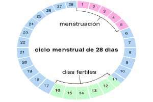 Alteraciones del ciclo menstrual | Mujer Bien