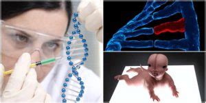 Alteraciones Genéticas: Anomalías Cromosómicas, Mutaciones ...