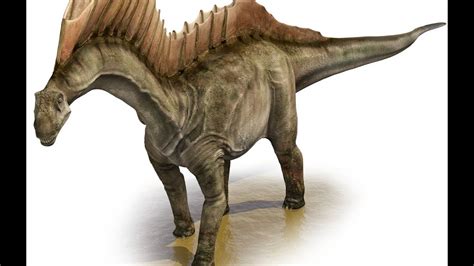 Amargasaurus | Enciclopedia sobre Dinosaurios   YouTube