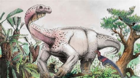 Amazing giant dinosaur discovery: New dino species ...