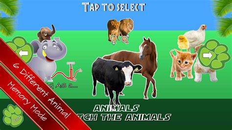 Amazon.com: Animal Memory Game For Kids: Appstore for Android