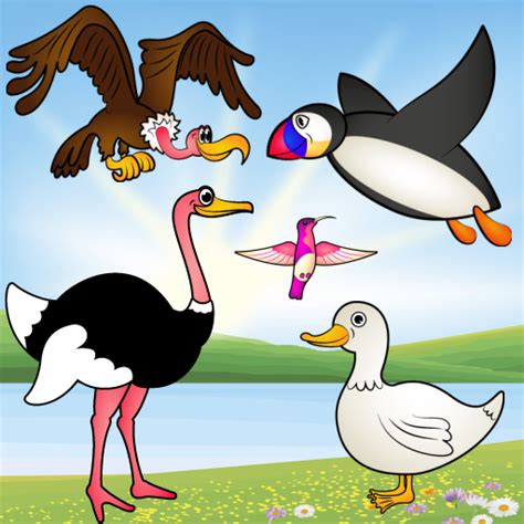 Amazon.com: Birds Game for Toddlers : Bird Species Puzzle ...