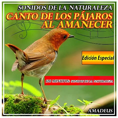 Amazon.com: Canto de los Pájaros al Amanecer: Sonidos de ...
