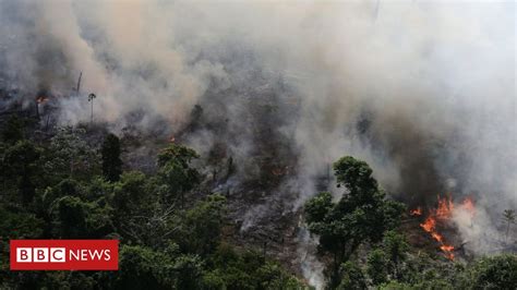 Amazon fires: Brazilian rainforest burning at record rate ...