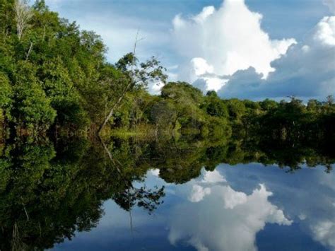 Amazon River Pictures