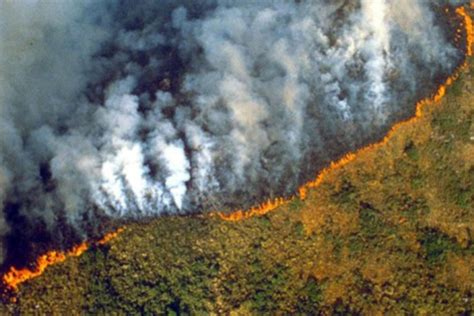 Amazonas arde; incendio consume estadio y medio de futbol ...
