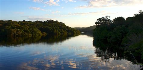 Amazonas, ¿cómo se creó su selva?   NaturaHoy