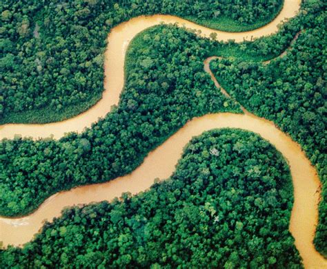 [Amazonas]: La selva de agua