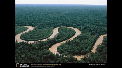 Amazonas peruano / Iquitos Perú . Reality Amazonas   YouTube