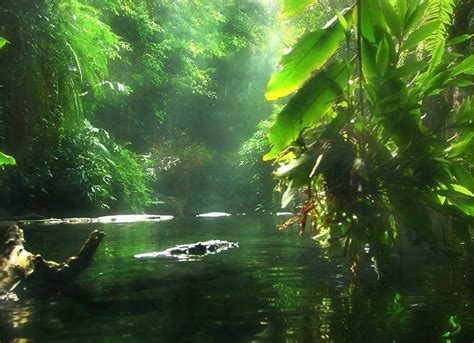 Amazonas – Amazonas sem fronteiras