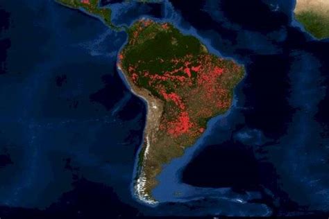 Amazonas: tres mapas muestran la dimensión de los incendios