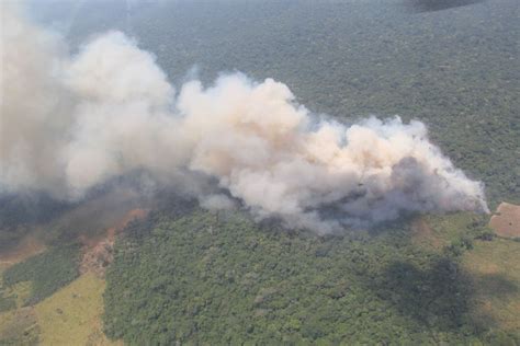 Amazonía en llamas: siete incendios en el Guaviare ...