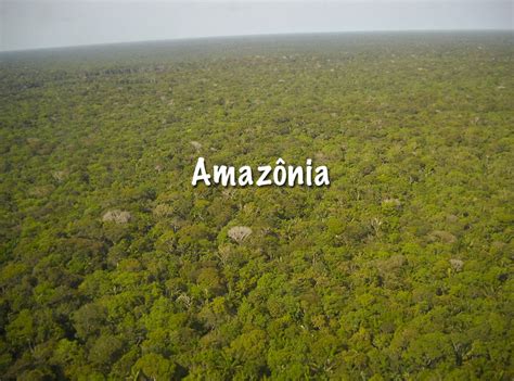 Amazônia   Grupo Escolar