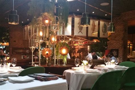 AMAZONICO Bar, Jazz Club & Restaurant, Madrid – Worldscape