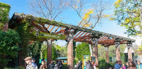 An Animal Lover s Guide to the Central Park Zoo