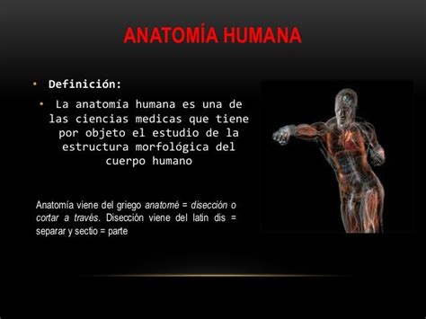 Anatomía humana fisiología e higiene clase 2