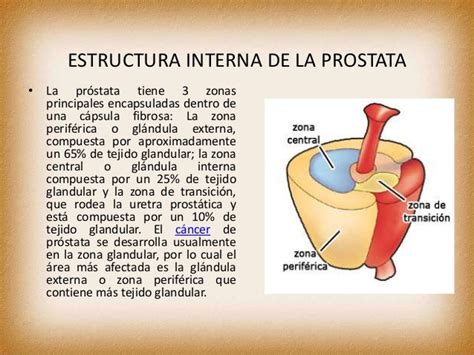 Anatomia y fisiologia del aparato reproductor  1